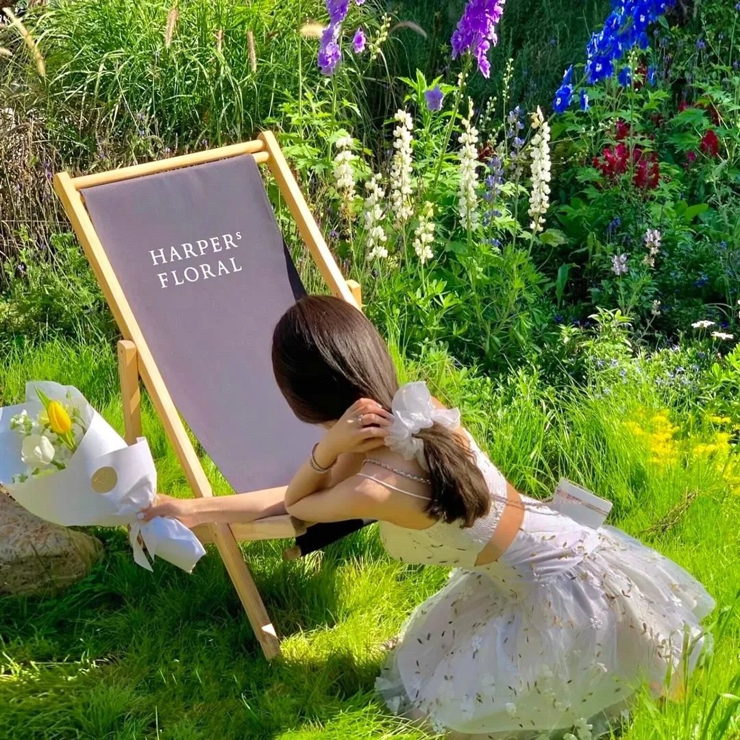 剧场版 银河机攻队：觉醒的基因